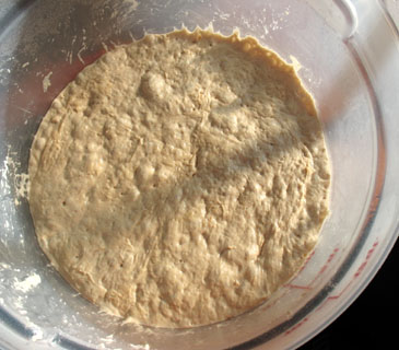 dough 1 day old
