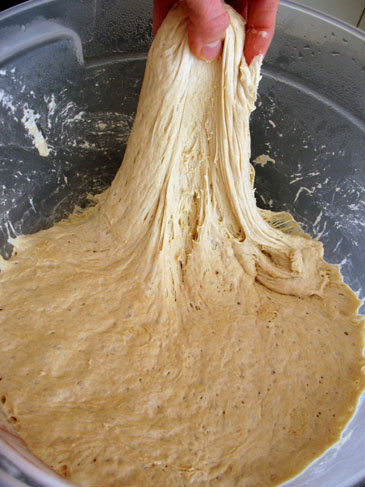 dough 1 day old