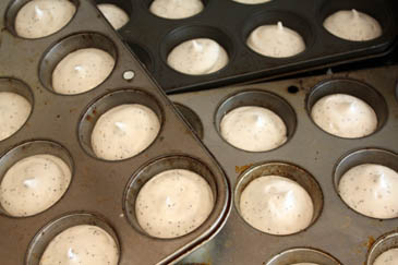 poppyseed-cake14