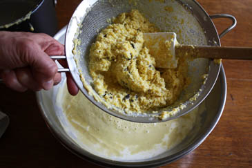sweetcorn-ic-07