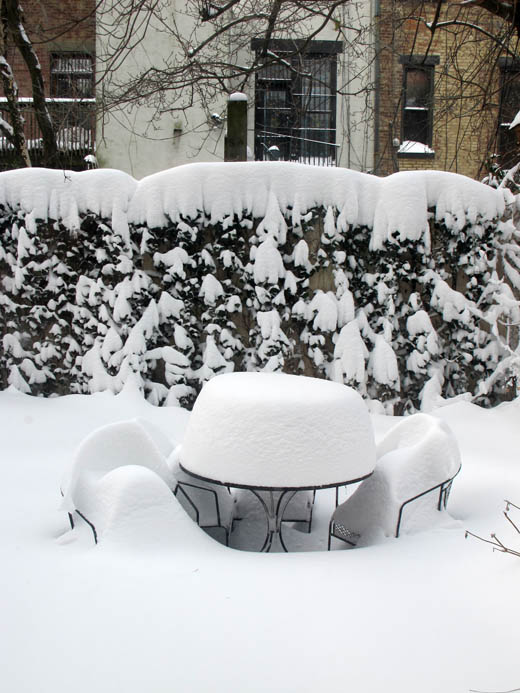 brooklynblizzard01
