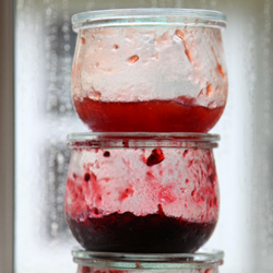 Thumbnail image for Homemade Jam, Jelly and Preserves!