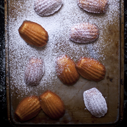 Thumbnail image for Honey Madeleines