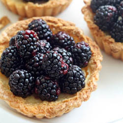 Thumbnail image for Blackberry Ricotta Tarts, a wee bit of summer in the dead of winter!